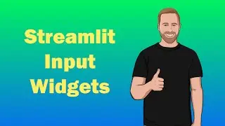 Using Streamlit Input Widgets