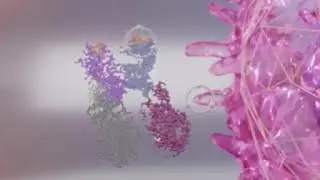 Coronavirus: Animation of Virus Transmission in Humans