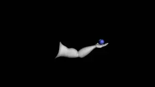 Bone Test/Ball Toss