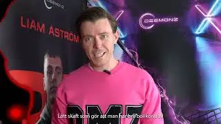 ✅ Verifierat: Gillar innebandyklubborna och magisk kundservice. Så säger Emil om oss på DEEMONZ