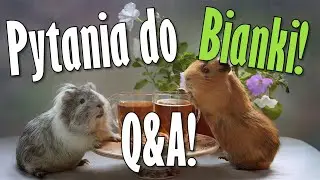 Pytania do Q&A - Bianka!