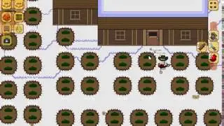 How To Put 62 Gardens On House And The Most Eficient Seed