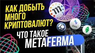 Как стать майнером имея токен MFX. Что нужно чтобы MFX смог добывать больше одного криптоактива