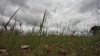 Entre potes FPV