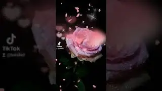 #Кечки