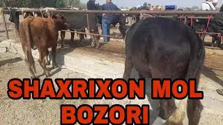 ANDIJON SHAXRIXON XOLDVONBEK MOL BOZORI NARXLARI