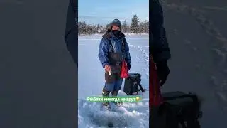 Зимняя рыбалка с юмором 😂 