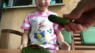 America Cucumber or Amerima Cucumber
