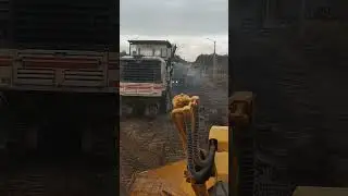 3 октября 2023 г.