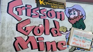 Prospector Shopping in Georgia Gold Country