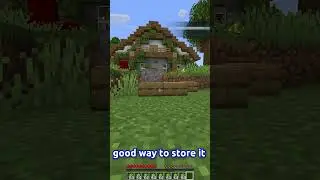 Why Isn't This In Minecraft?