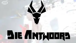 Die Antword Motion Graphic