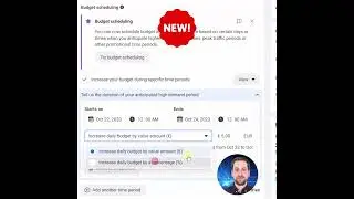 Budget Scheduling for Facebook Ads
