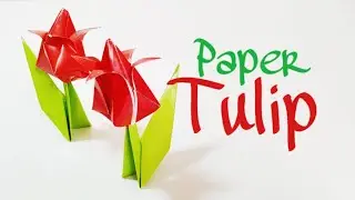 Easy Paper Tulip Flower
