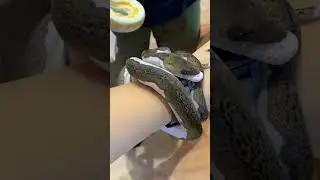 PLAY WITH CUTE AND UNIQUE ANIMALS AT THE ANIMAL EXHIBITION! SO FUN!