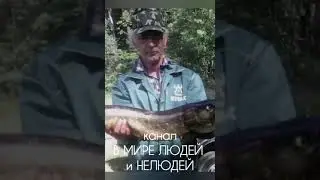 ЗАДЕРЖАН ПЕДОФИЛ.