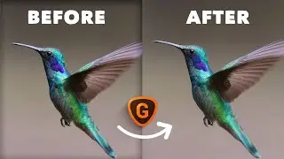 Topaz Gigapixel Upscale Tutorial - Low res stock photo