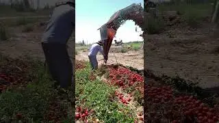 Англия жумыс работа #англия #жумыс