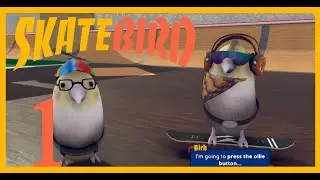 Just playing SkateBIRD #1