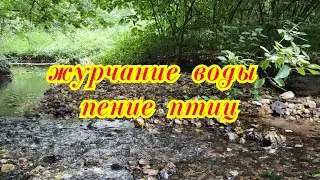 Звуки природы, журчание воды,пение птиц, шум леса. для расслабления, спокойствия, релакса, медитации