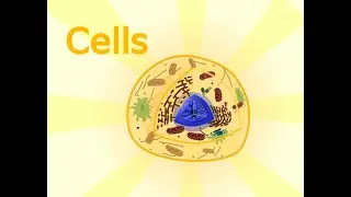 Science: Types and Parts of a Cell - Gameplay (GAME IN DESCRIPTION)
