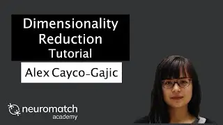 Dimensionality Reduction Tutorial 3 Video 2