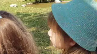 На соколиной охоте!!! 2 часть:) 😌🥰
