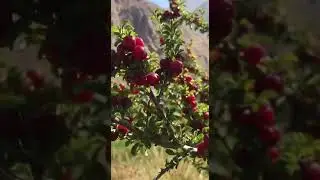 ПАМИР КРЫША МИРА!!! Какая красота 😍!!не забудьте пожалуйста подписаться ❤️