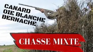Chasse au canard , oie et bernache ( Lac Saint-Jean 1ère journée ) Goose hunting
