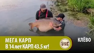 😀МЕЧТА карпятника! В 14 лет поймал МЕГА карпа 43+!!!