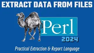 How To Extract Data From Txt Files In Perl 2024