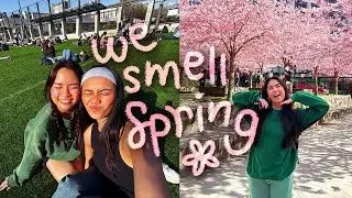 🌸🌸🌸 Spring Is Nearing & So Are Finals 📝📝📝 | UBC Diaries