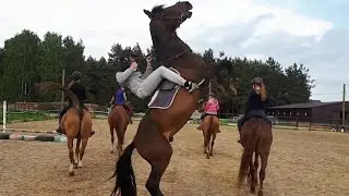Дефиле на лошадях
