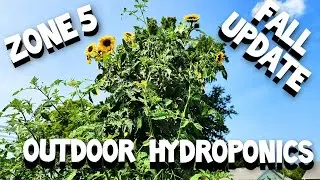 OUTDOOR HYDROPONICS - THINGS LEARNED