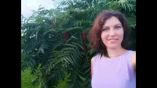 Начала про одежду закончила о личном