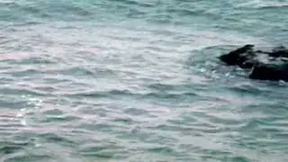 RASARIT DE SOARE LA COSTINESTI !