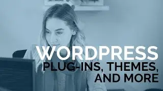 All About WordPress: Themes, Plug-Ins, and More!