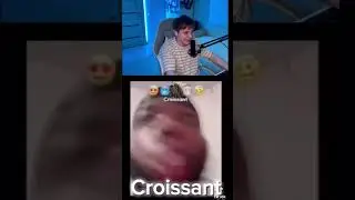 Croissant 😍🥶🦟🎅🥴 Twitch: bratikkkkkkkkk 