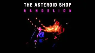 The Asteroid Shop - 