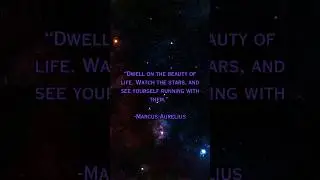 Stoicism Quotes | Marcus Aurelius #philosophy #stoicism #marcusaurelius