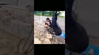 Прокати меня! #shorts #пранк #приколы #улыбка #шутки #юмор #прикол #смешное