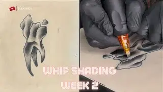 Back To Basics | Shading Tutorial | Week 2 - Whip Shading