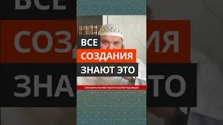 Все создания знают это || Абу Умар Ас-Сыям