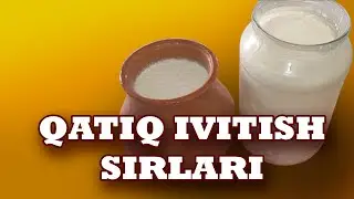 Qatiq ivitish sirlari. Секреты закваски Кислого молока.