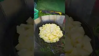 Вайб примусологии #лето