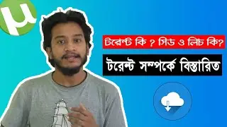 What Is Torrent , Seed, Leech, Know Everything About Torrent