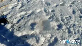 Взрыв в замедленной съёмке🌟