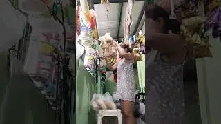 Thursday  morning ng tindera/Buihay  negosyante