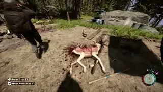 Sons Of The Forest Gameplay
