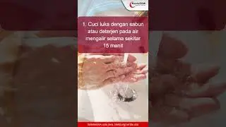 AWAS RABIES ! CEGAH INFEKSI RABIES DENGAN CARA INI #shorts #rabies #pets #dog #prevention